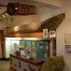 First Nations Permanent Exhibit