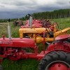 Tractors in the Field