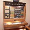 Driftwood Canyon Fossil Exhibit